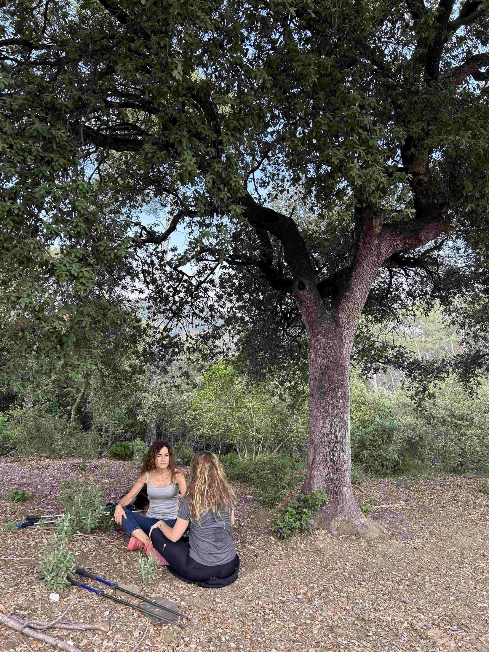 Psicòleg Sant Cugat asseguda en un bosc amb client fent psicoteràpia holística individual
