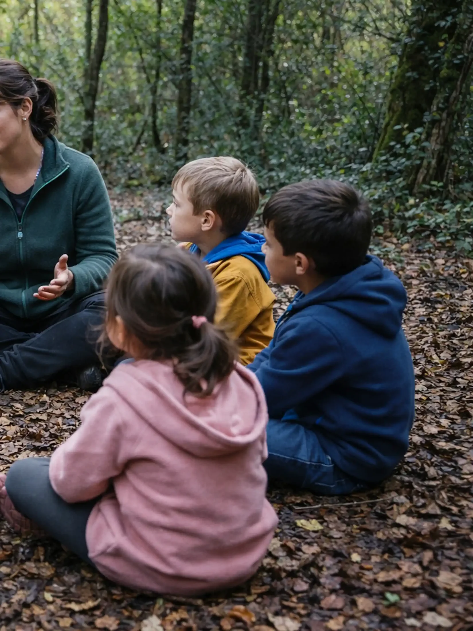 Grup de nens asseguts en cercle al bosc durant una sessió de teràpia per a nens a la natura