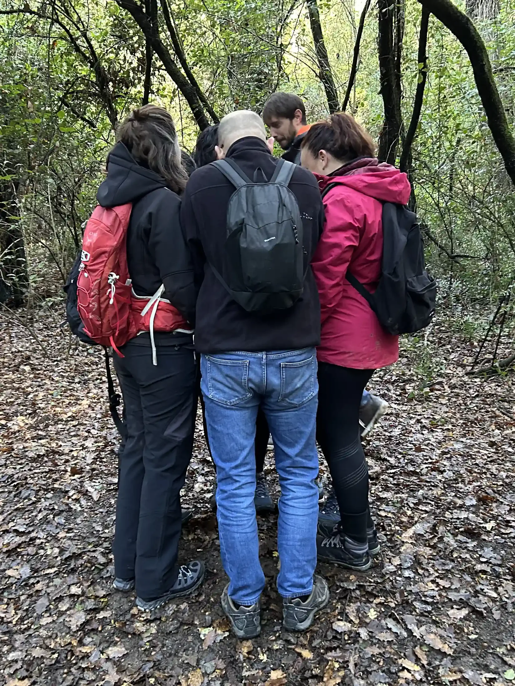 Grup de persones fent teràpia de grup en un bosc mediterrani durant una sortida guiada de natura
